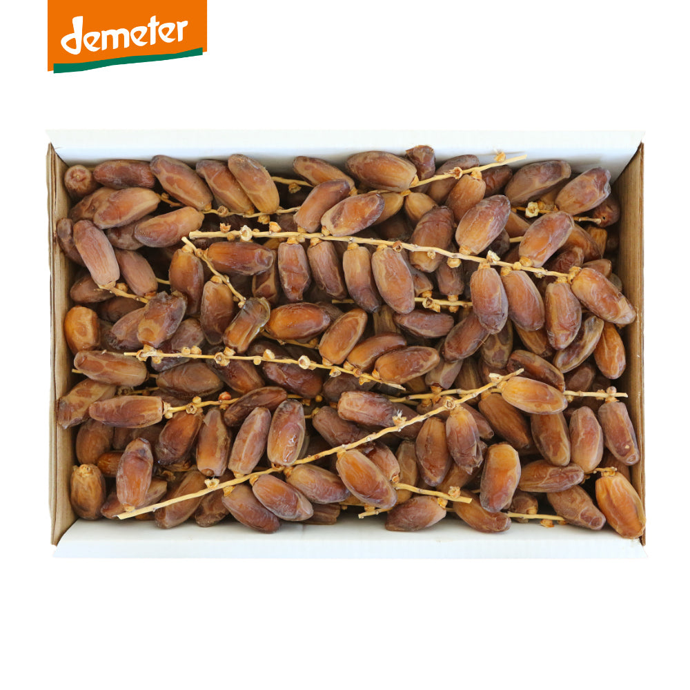 Deglet Nour Bio Datteln