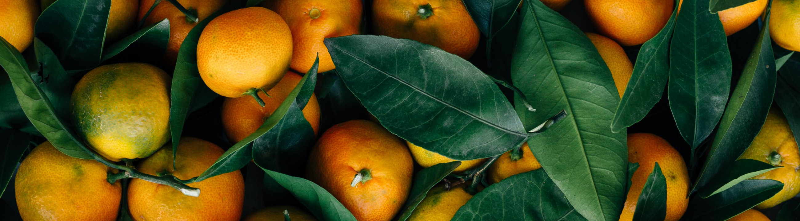 Fruits